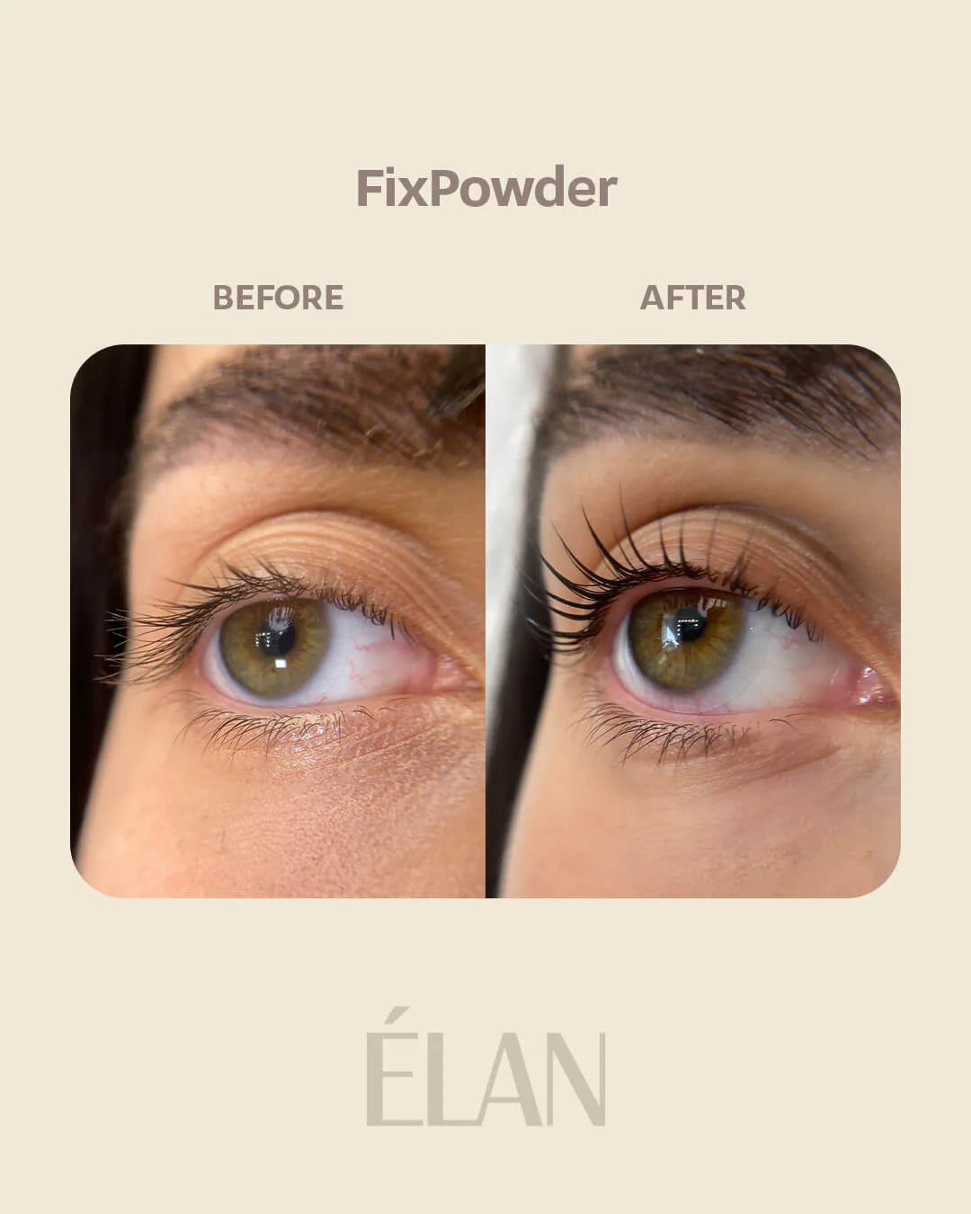 Lash lift FIXING POWDER PREVENTA BUEN FIN