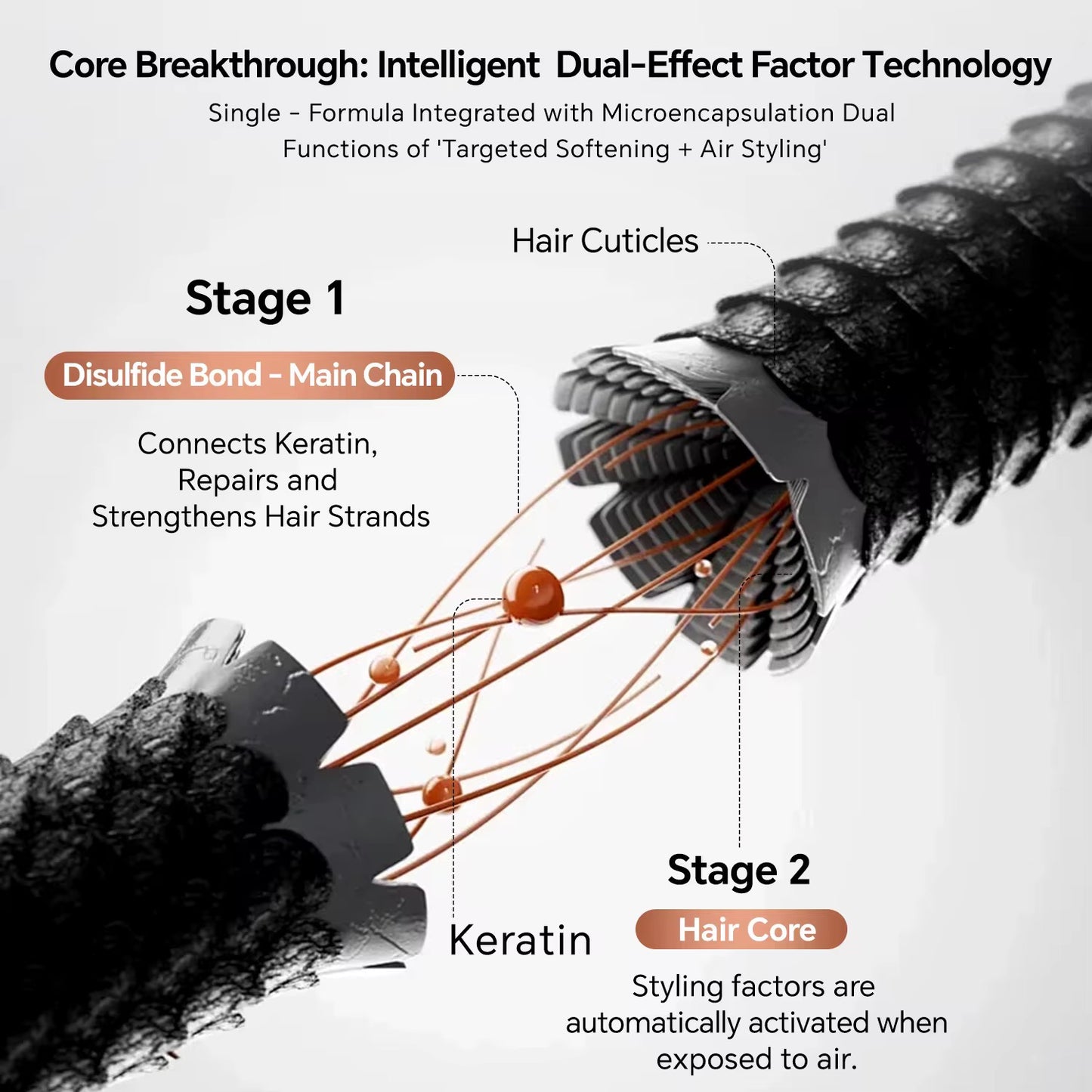 Camellia 2in1 kit lamibrows ICONSIGN