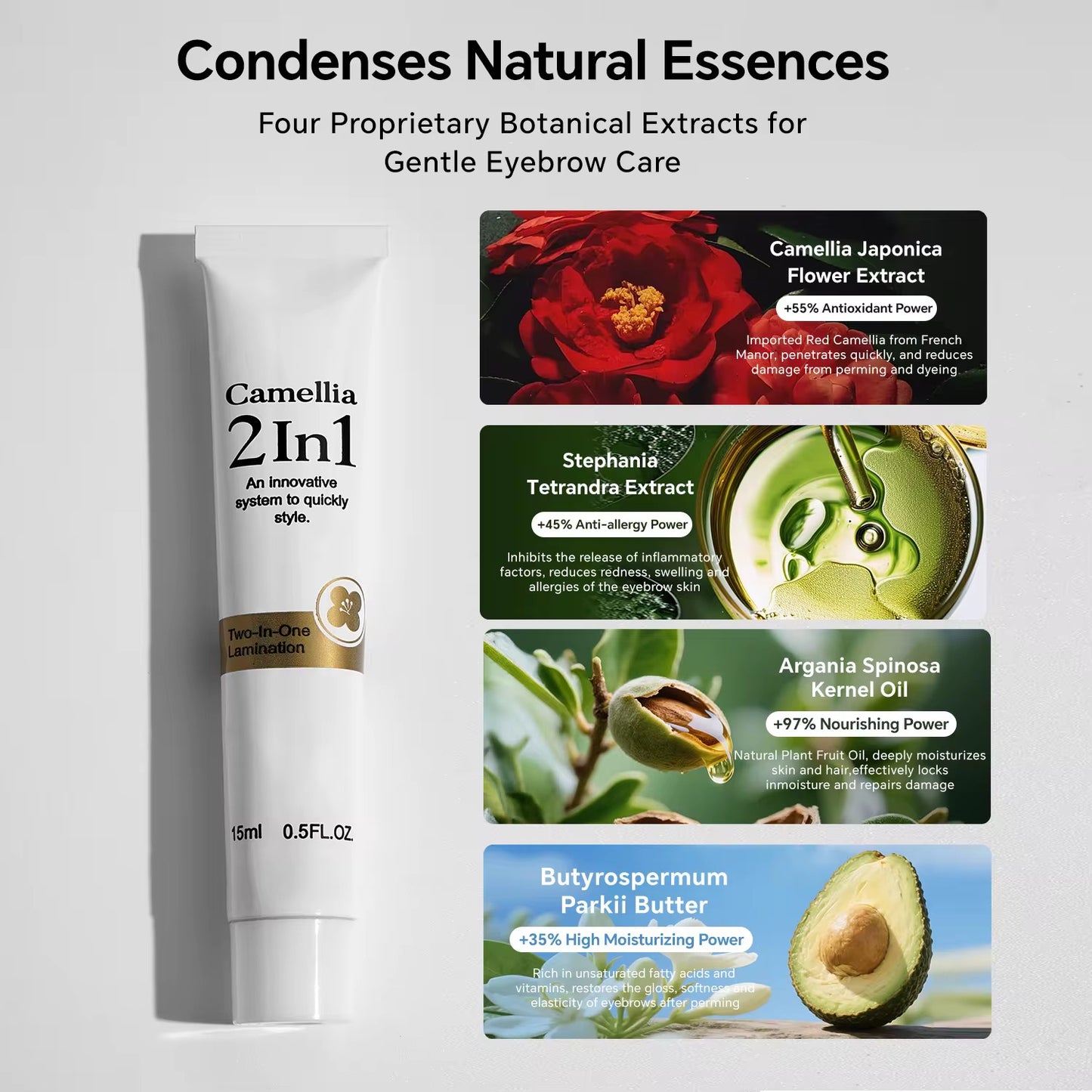 Camellia 2in1 kit lamibrows ICONSIGN
